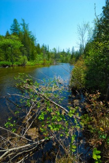Logan Creek